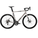 JAVA Auriga Aluminum Road Bike 12 Speed