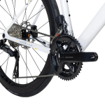 Pardus Robin Sport 105 Di2 Carbon Road Bike with Carbon Wheels